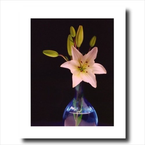 Lilly Flower Vase Wall Art - Honey Framed Picture Print for Home Decor | Perfect for Living Room, Bedroom & Office Wall Decor