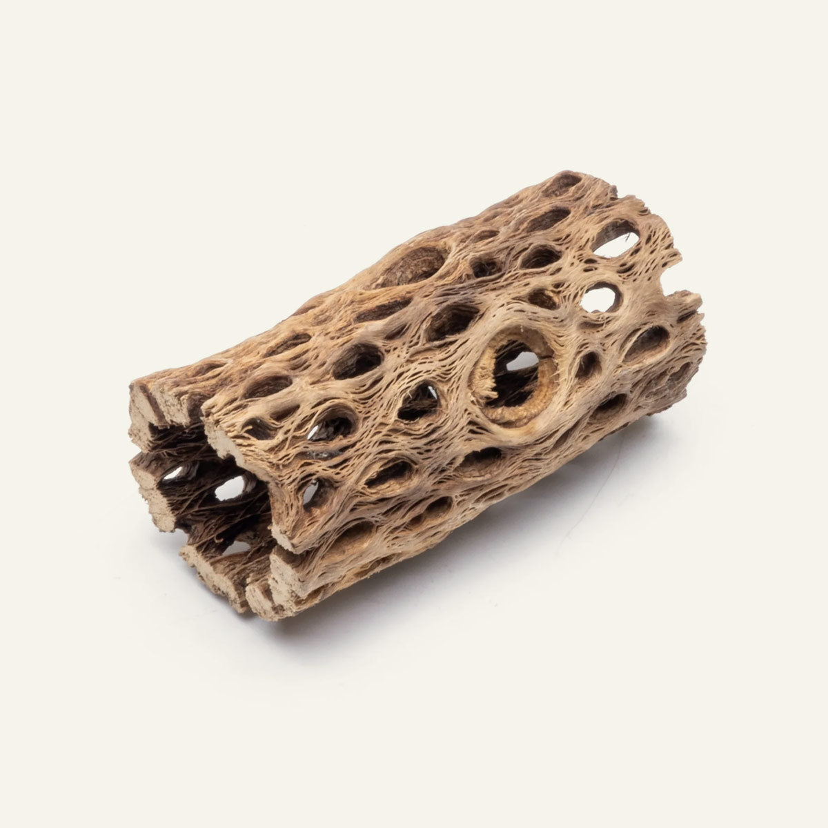 Natural Cholla Wood Driftwood for Aquarium Decor - 4 Inch Pieces - Perfect for Reptile Habitats, Fish Tanks & Terrarium Landscaping