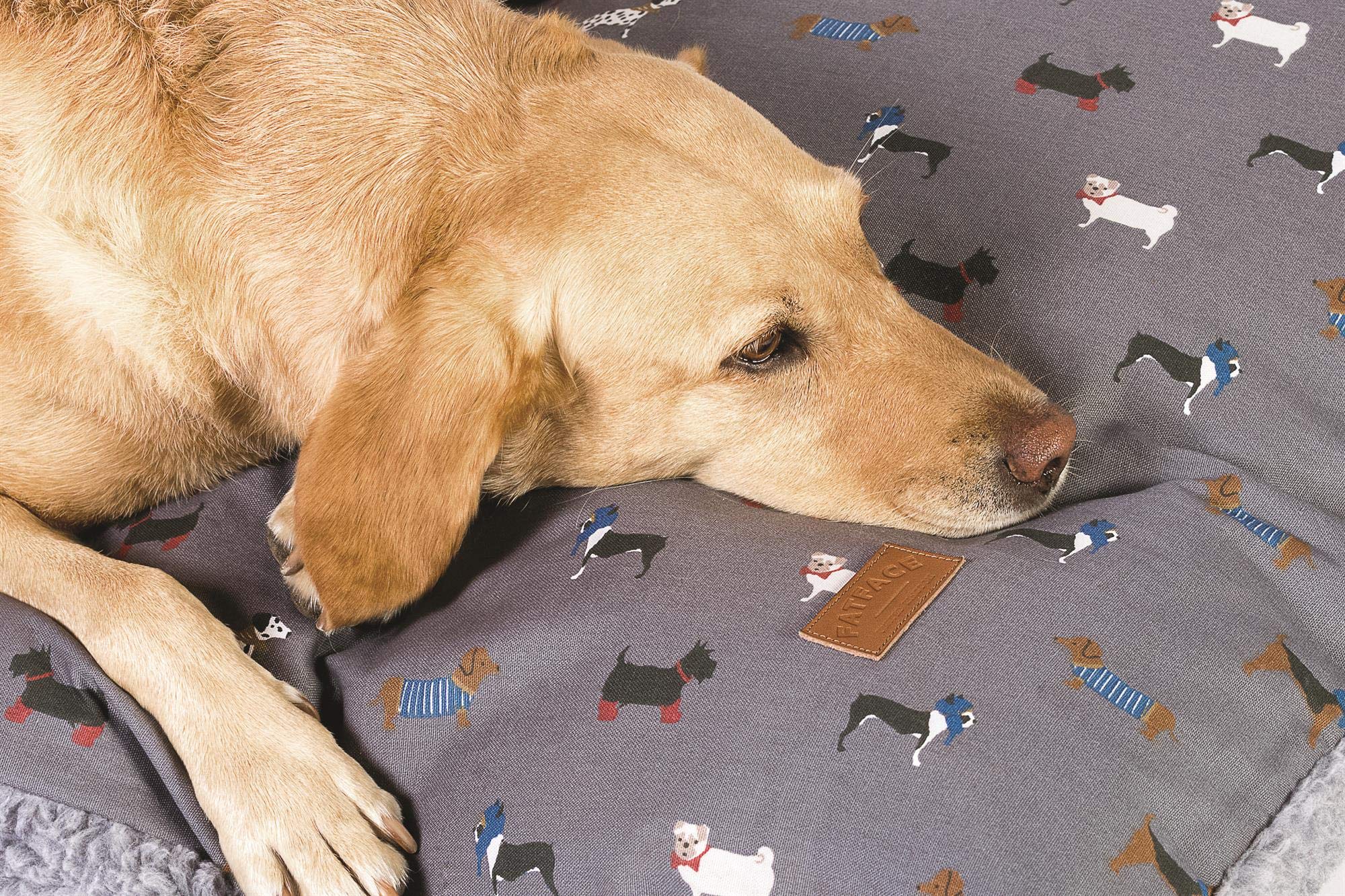 FATFACE Flying Birds Blue/Teal Super Soft Deluxe Pet Dog/Puppy Sustainable Deep Duvet Medium - Perfect for Cozy Nights and Comfortable Pet Beds
