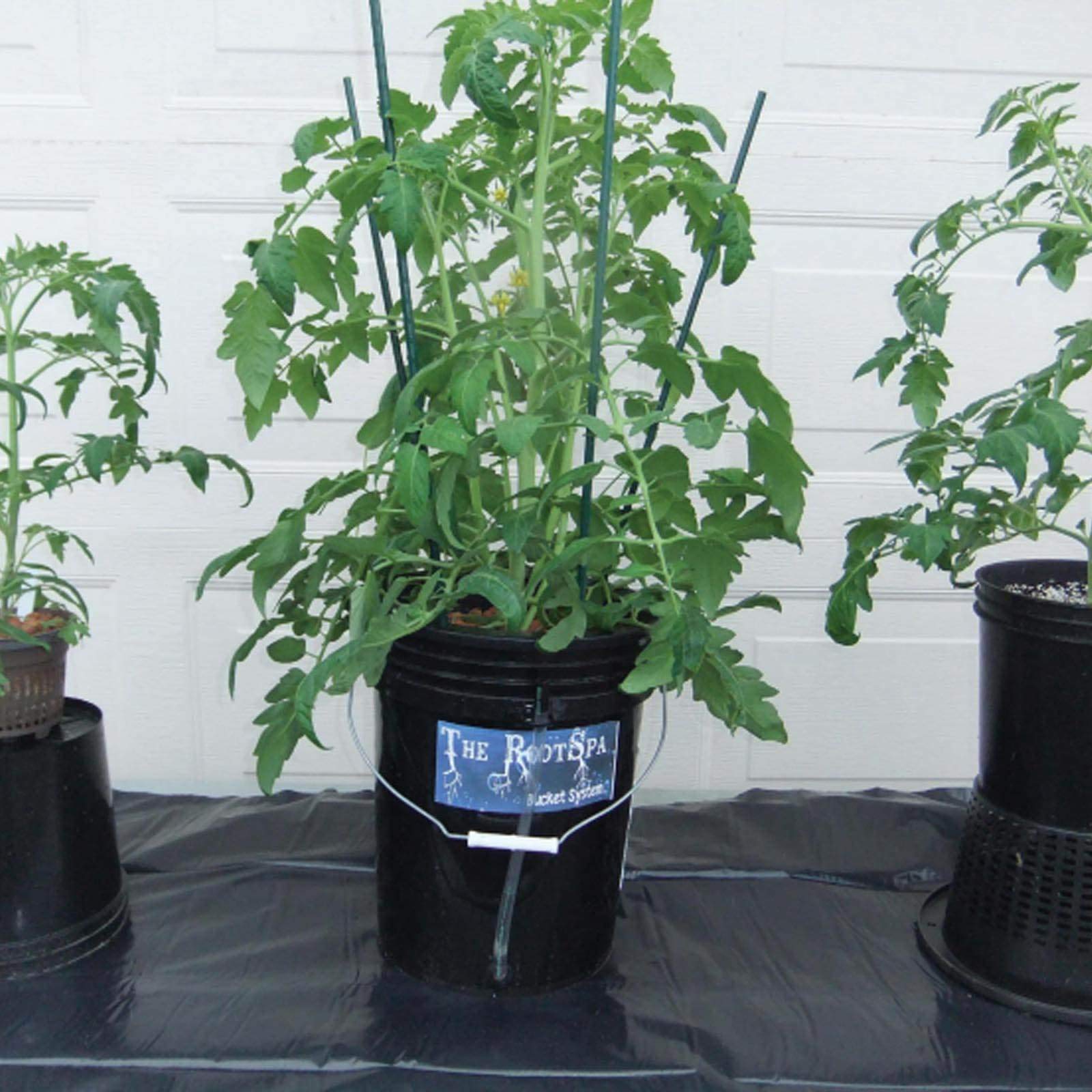 Active Aqua RS5GALSYS 5 Gallon Hydroponic Bucket System - Deep Water Culture Grow Kit with Air Pump & Hose (2 Pack, Black) for Indoor Herb Garden, Leafy Greens & Cannabis Cultivation