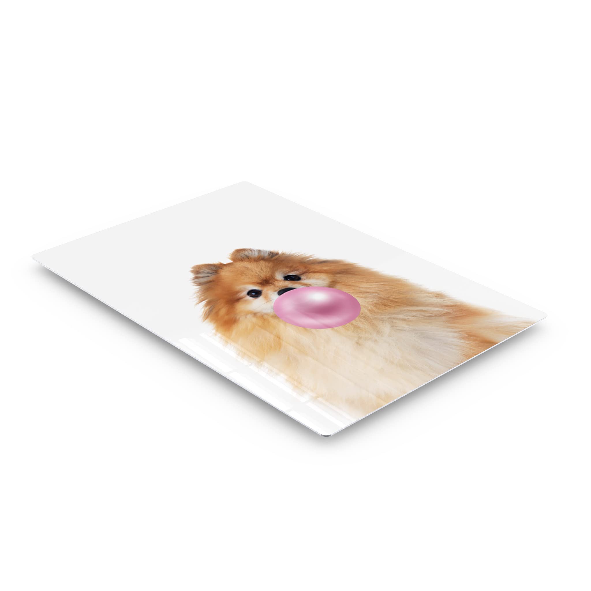 Pomeranian Dog Chewing Pink Bubble Gum Metal Wall Art Print - Pet Lover Gift, Animal Pop Art for Office, Living Room, Bedroom & Nursery Decor (12x8 inches) - Perfect for Dog Lovers & Home Decoration