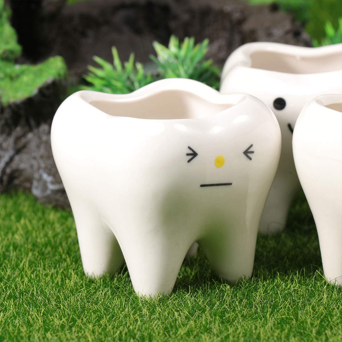 Garneck 3-Piece Ceramic Succulent Planter Set - Small Decorative Flower Pots with Molar Design for Plants, Mini Bonsai Containers & Cute Home Decor | Perfect for Office Desk, Windowsill, and Indoor Gardening