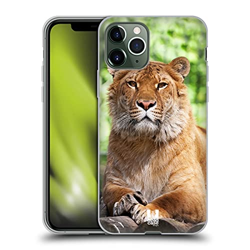 Siberian Liger
