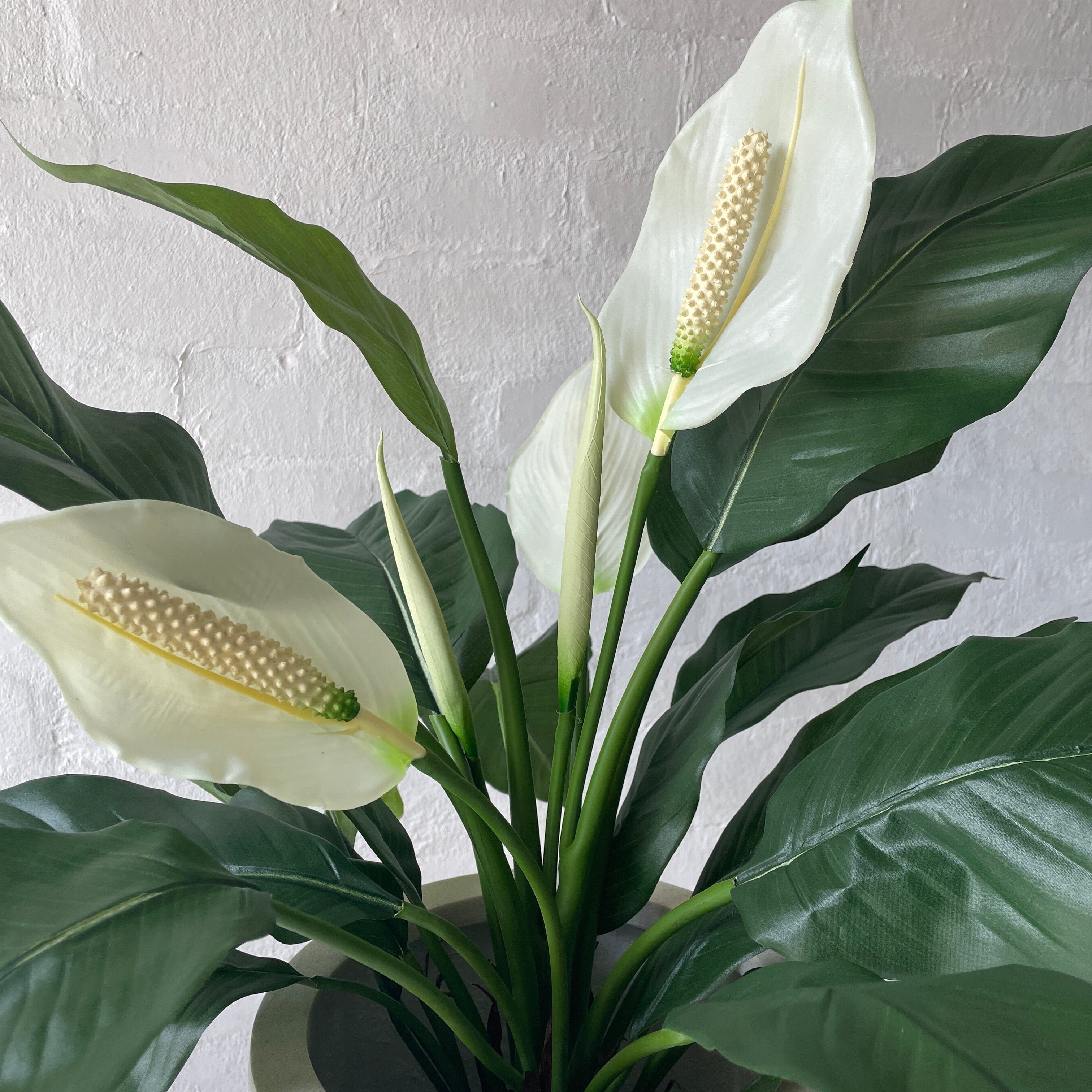 Artificial Peace Lily Plant - Realistic Fake Peace Lily in Pot for Home & Office Decor - Perfect for Living Room, Bedroom, and Indoor Spaces