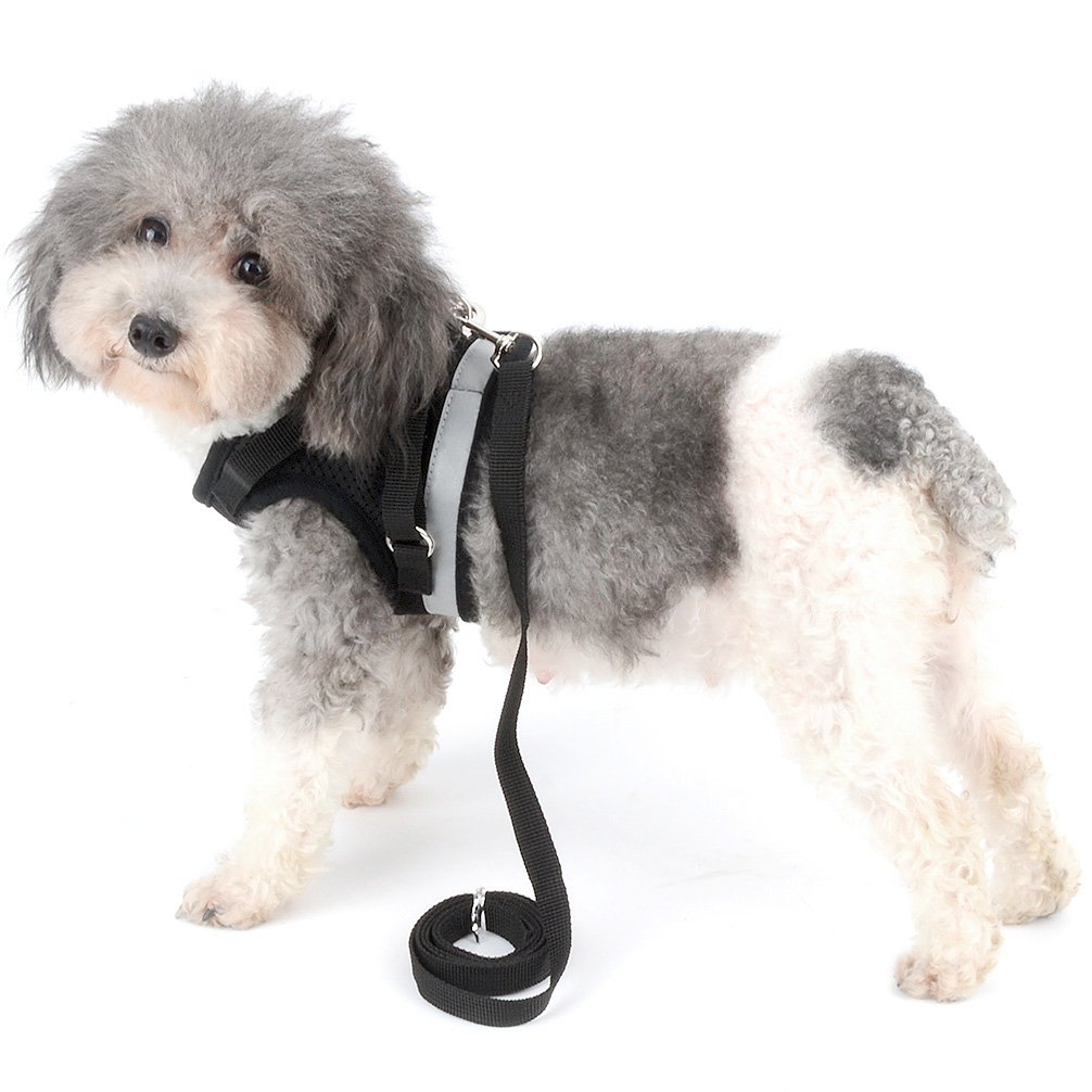 Ranphy Reflective No-Pull Dog Harness Vest with Leash Set - Soft Mesh Step-in Jacket for Small Dogs & Cats (Yorkie, Chihuahua, Puppy, Kitten) - Black | Perfect for Night Walks, Training & Outdoor Safety