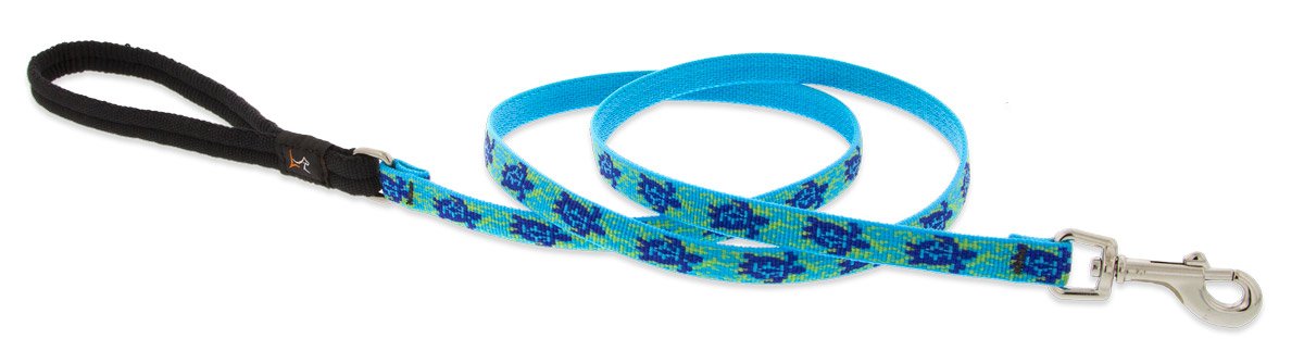 LupinePet 6ft Padded Leash for Small Dogs - Comfortable Walking & Outdoor Use