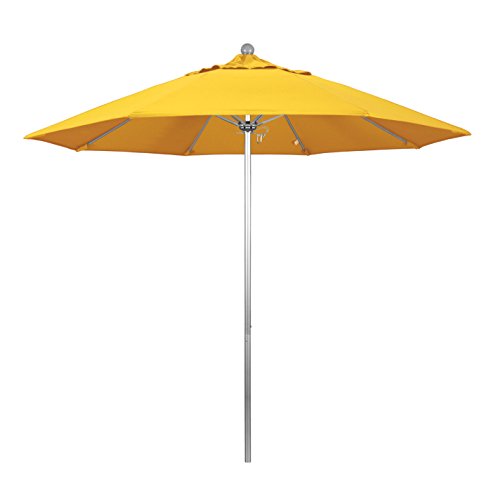Sunflower Yellow