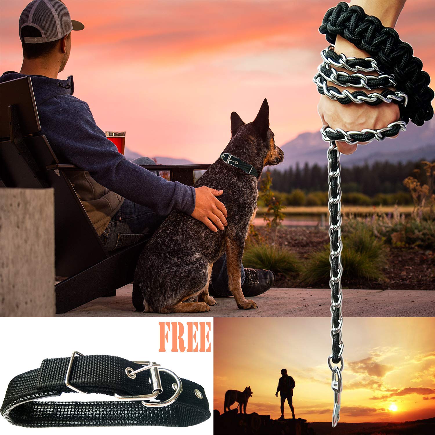 Heavy Duty Metal Dog Leash with Anti-Bite Chain & 360° Hook - Durable Pet Training Lead for Medium & Large Dogs - Perfect for Walking, Running, and Outdoor Adventures (Small Size)