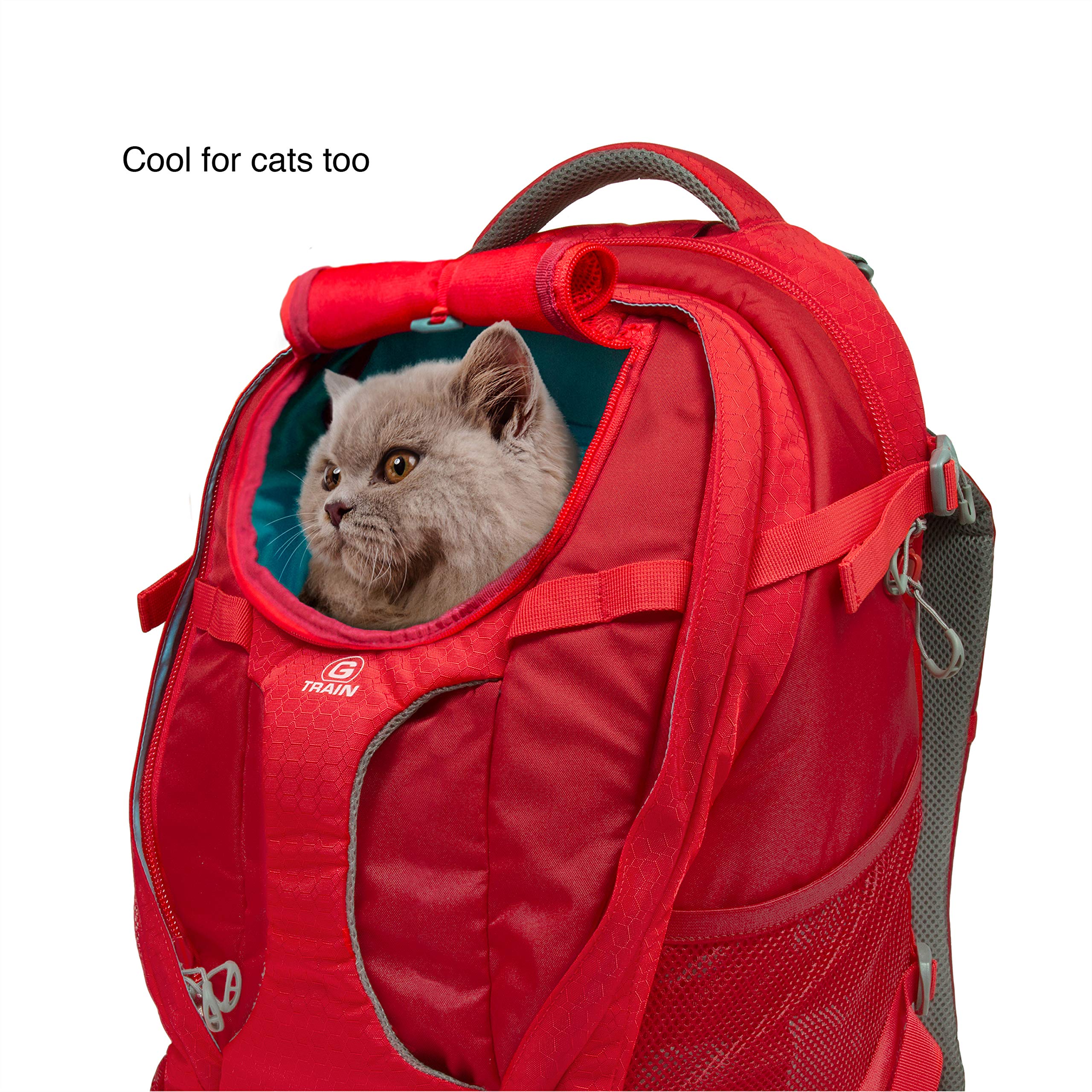 Kurgo G-Train Dog Carrier Backpack for Small Dogs & Cats - Waterproof Pet Travel Backpack for Hiking, Camping, Airplane & Outdoor Adventures - Red - Perfect for Daily Commutes, Vet Visits & Weekend Getaways