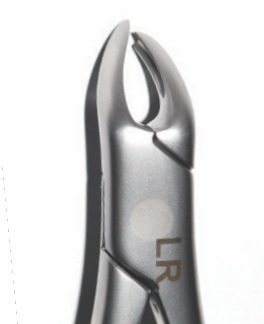 Osung FXLLR Dental Extraction Forceps - Lower Right Lingual Short for Tooth Removal | Professional Dental Tools for Oral Surgery & Dentist Office Use