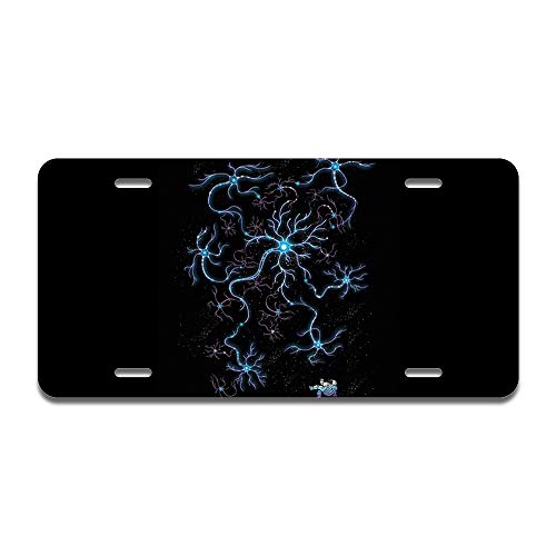 Neuron Galaxy