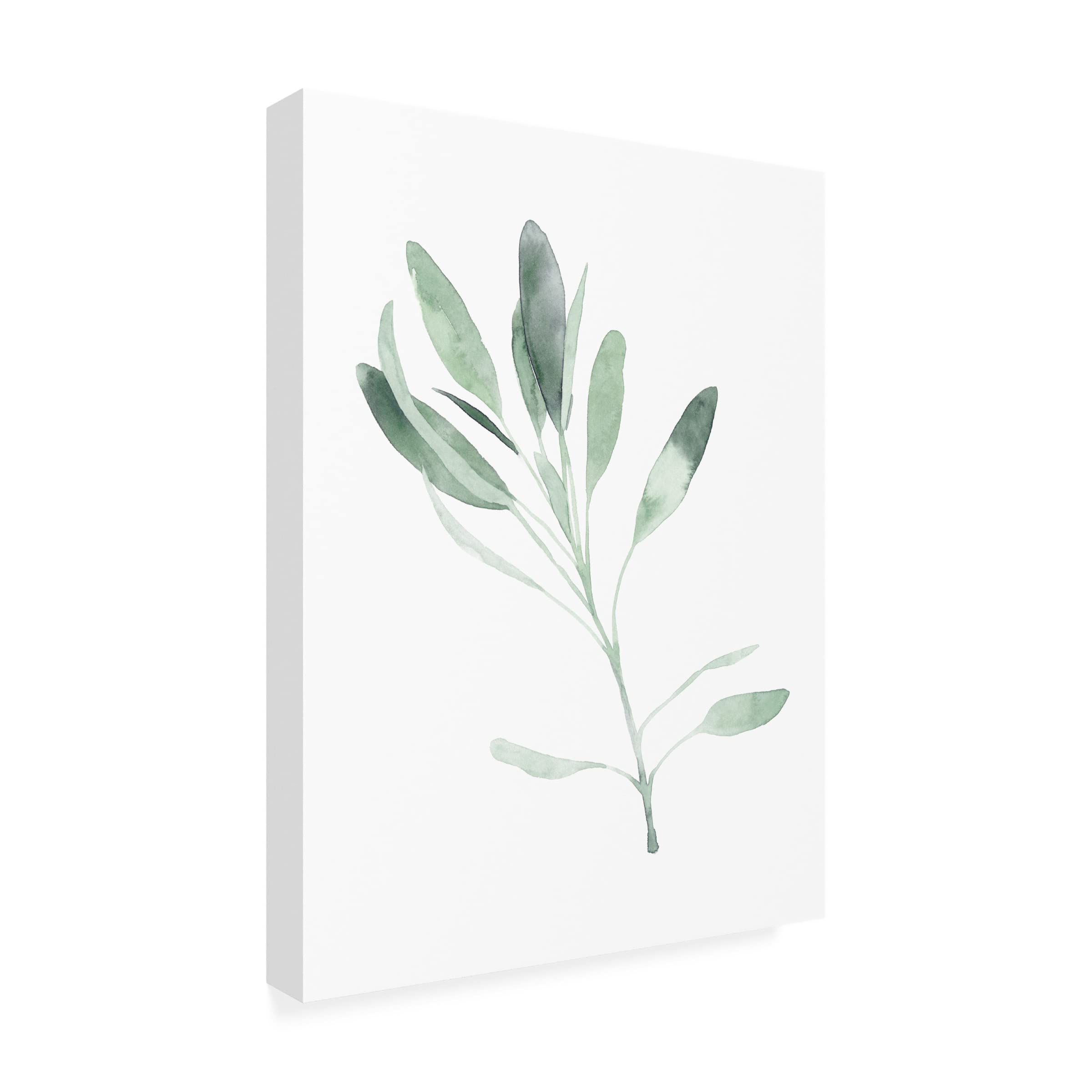 Emma Scarvey 'Simple Sage II' Canvas Wall Art Print - Modern Botanical Decor for Living Room, Bedroom & Office