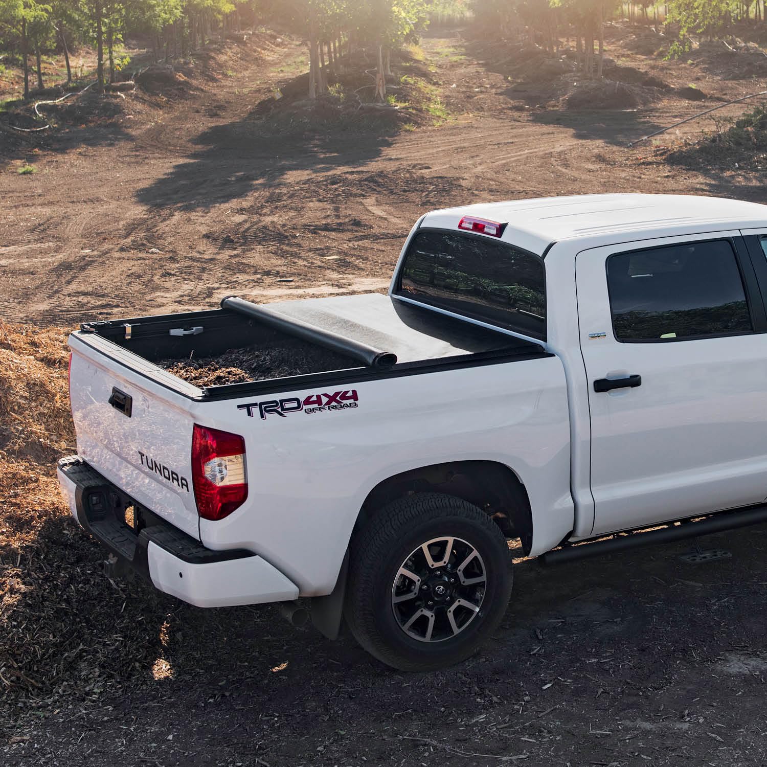 TruXedo TruXport Soft Roll Up Truck Bed Tonneau Cover | Fits 2022-2025 Toyota Tundra with Rail System | 6'7