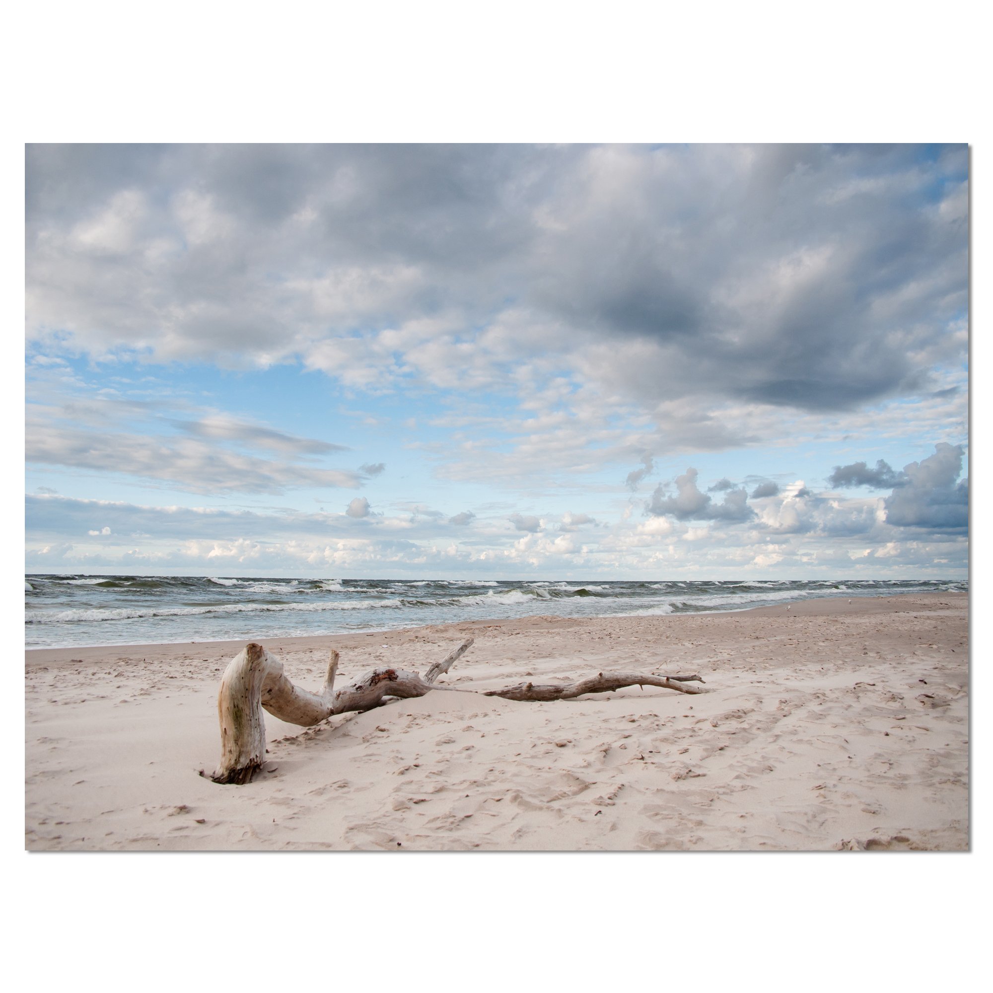 Large Piece of Wood on Beach Modern Seascape Canvas Art Print - Coastal Wall Decor for Living Room, Bedroom & Office