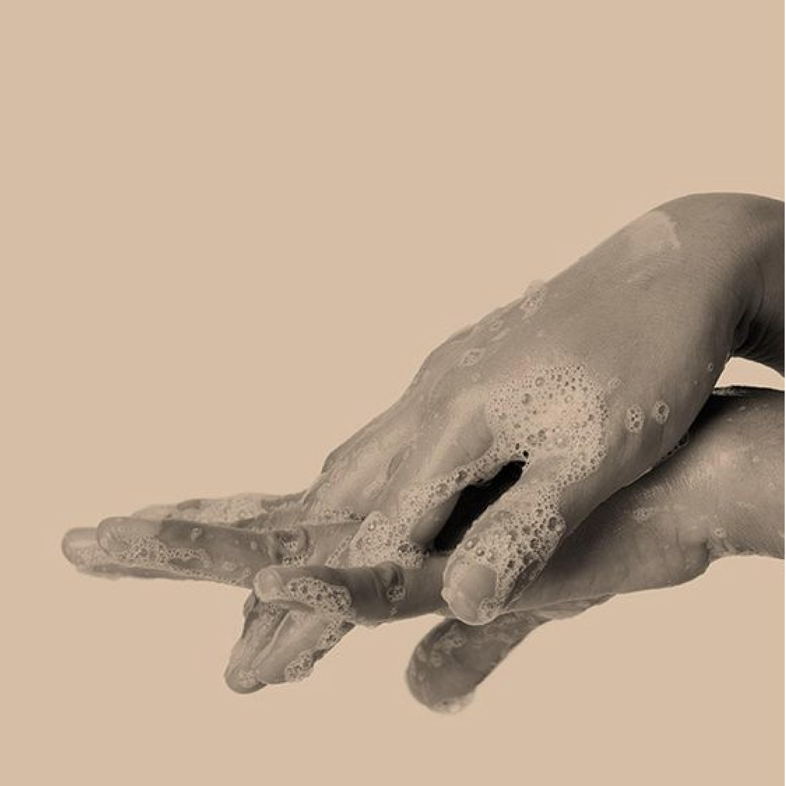 Aesop Reverence Aromatique Hand Wash & Geranium Leaf Body Cleanser - 500mL/16.67oz | Paraben-Free, Cruelty-Free & Vegan | Luxury Hand & Body Wash for Spa, Bathroom & Home Use