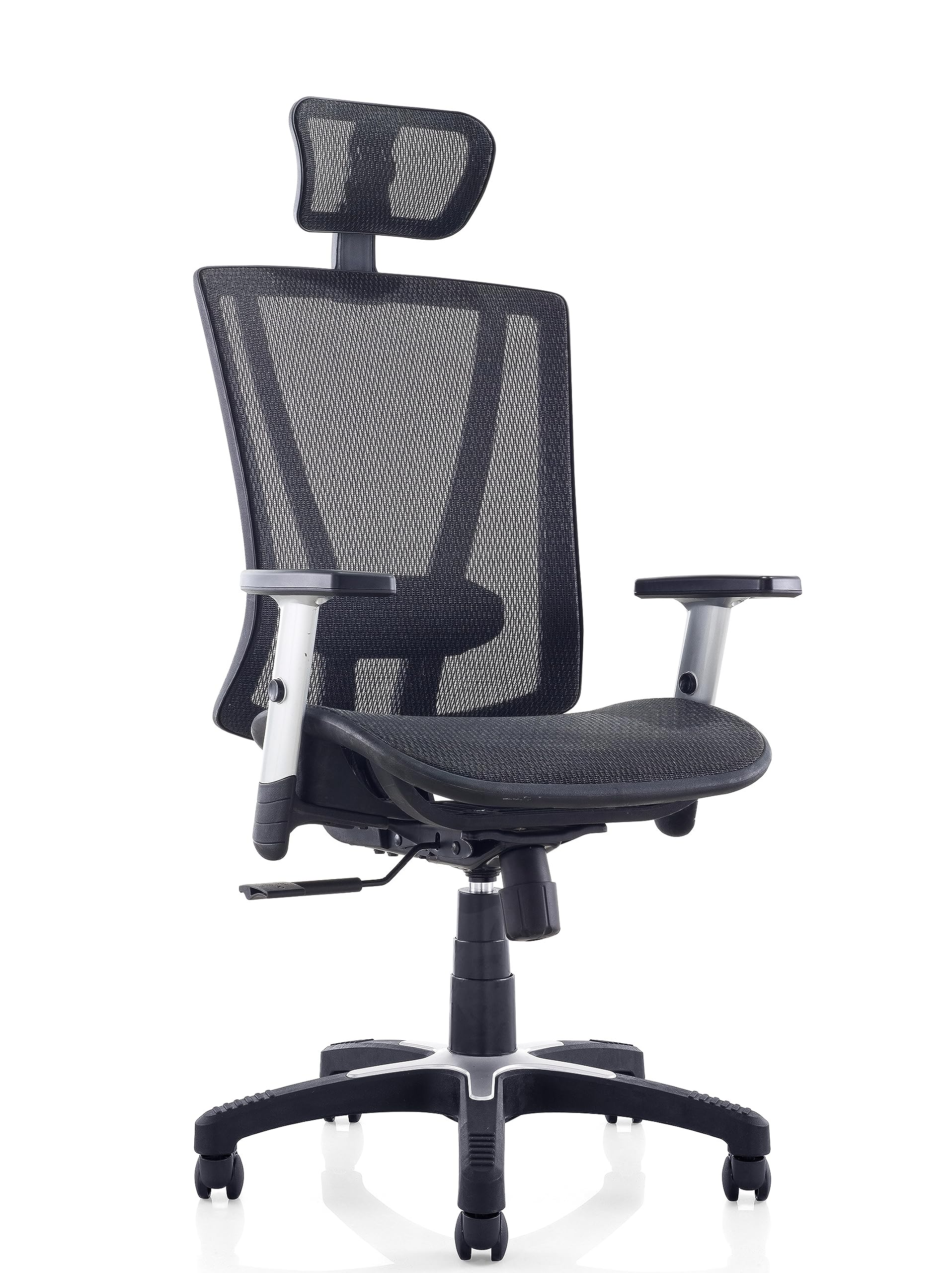 ErgoMax 53