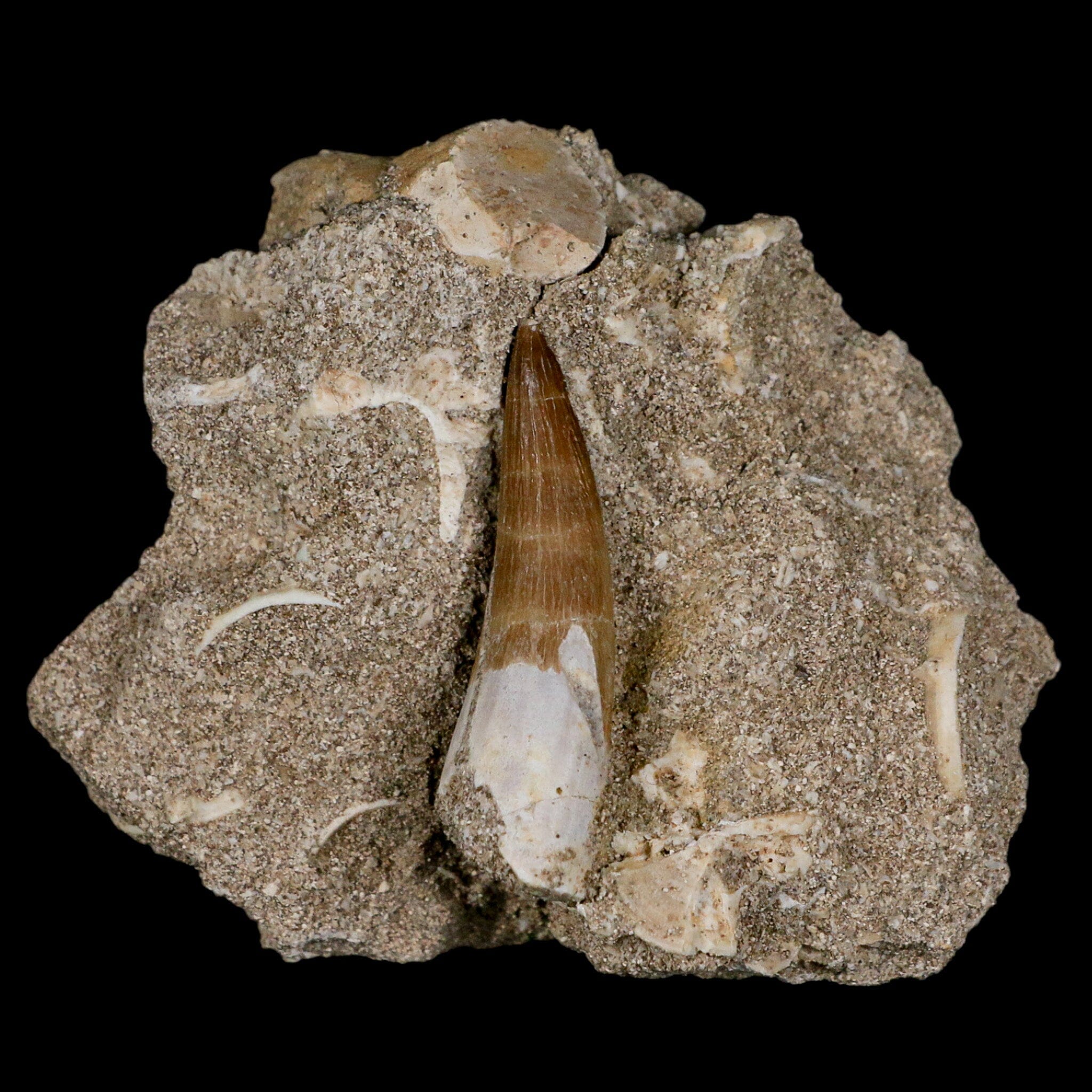 1.5