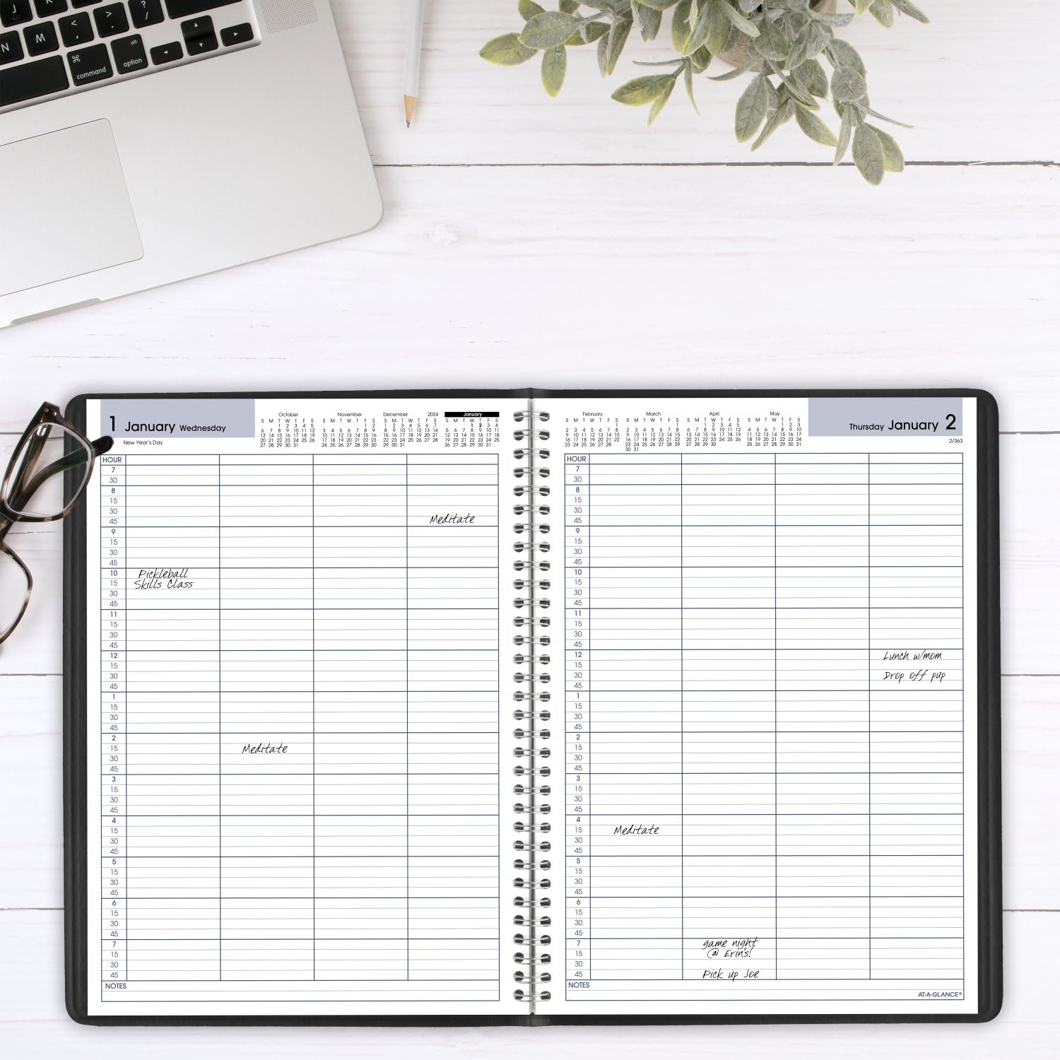 AT-A-GLANCE 2025 Daily Appointment Book Planner - 8