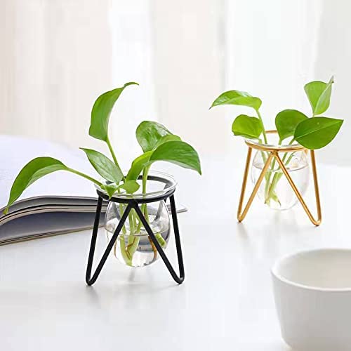 Metal Stand Plant Terrarium - Glass Bulb Vase for Hydroponic Plants | Indoor Home, Office & Garden Decor | Perfect for Succulents, Air Plants & Small Herbs