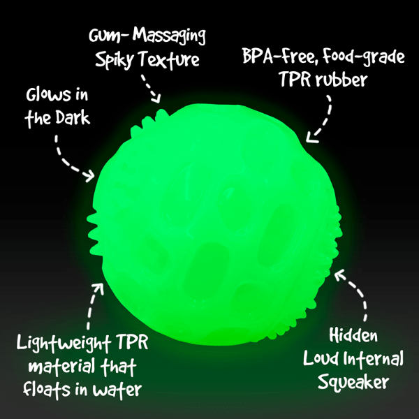 Gnawsome Glow in the Dark Squeaker Ball for Dogs - Chew Resistant Interactive Pet Toy for Nighttime Play & Training - Durable Rubber Ball for Small Medium Large Dogs