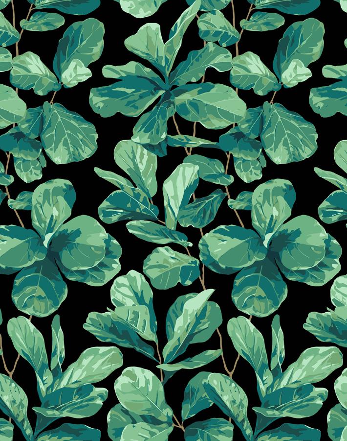 Nathan Turner Onyx Fiddle Leaf Fig Wallpaper - Elegant Botanical Peel and Stick Wallpaper for Living Room, Bedroom, or Nursery Decor