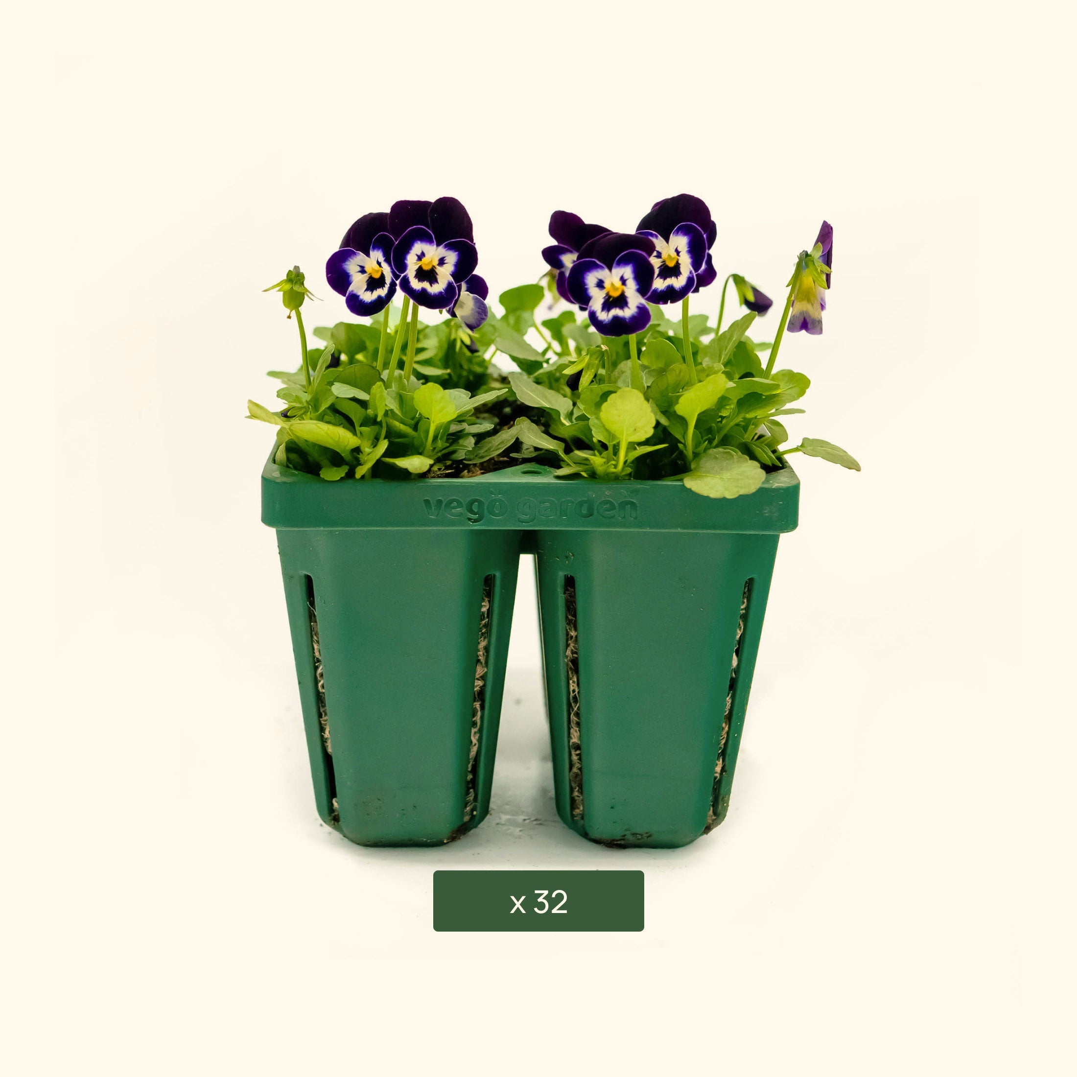 Large Seedling Trays for Plants - 10 Pack Durable Nursery Starter Trays with Drainage Holes | Perfect for Indoor Gardening, Greenhouse & Hydroponics