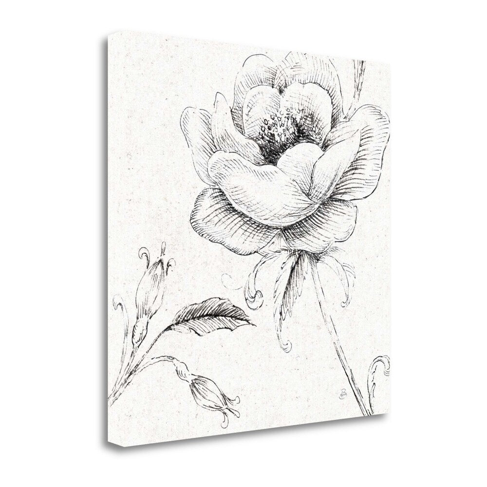 Blossom Sketches II Floral Art Print by Daphne Brissonnet - Premium Giclee on Gallery Wrapped Canvas - Perfect for Living Room, Bedroom & Office Wall Decor