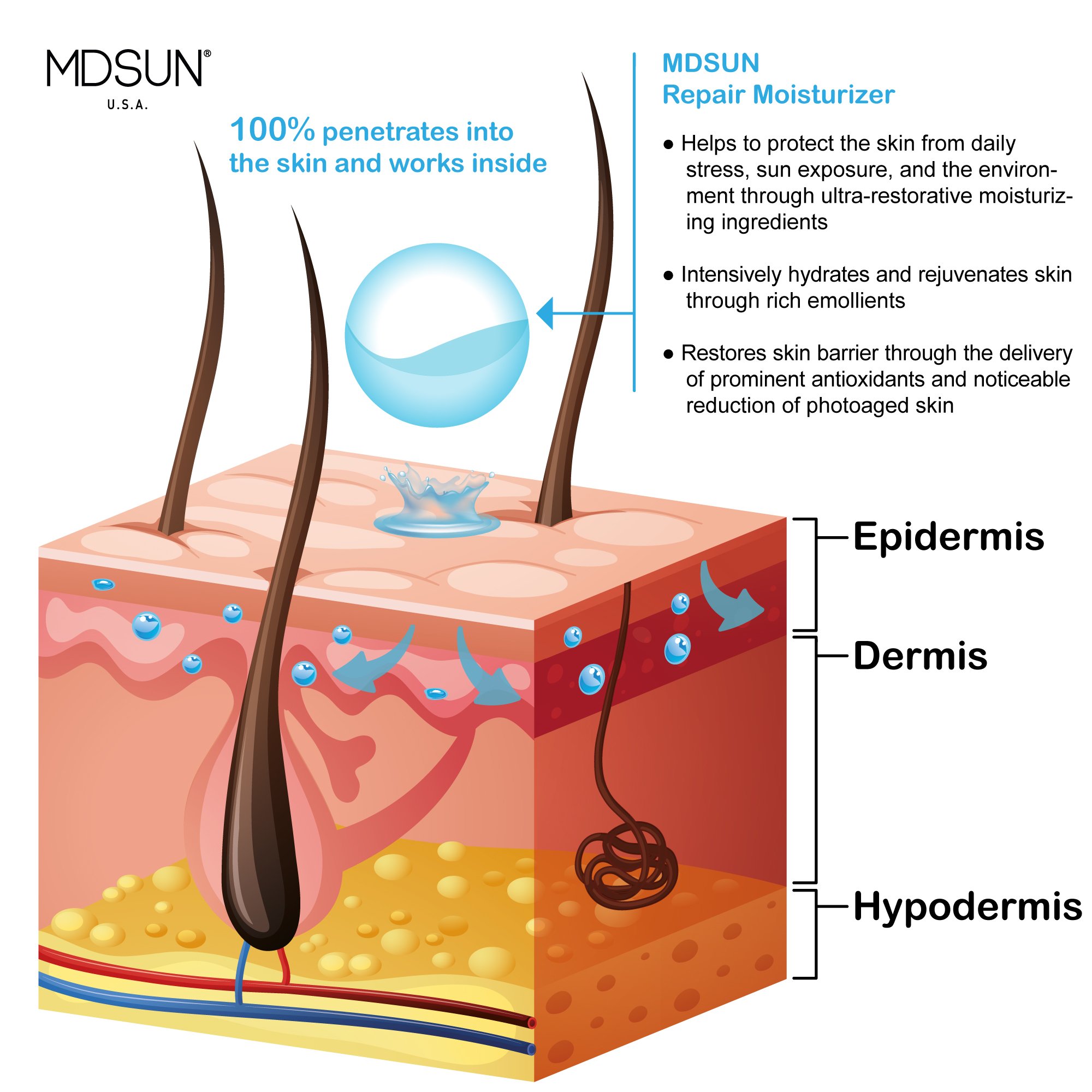 MDSUN Anti-Aging Face Moisturizer with SPF 50 - Repairs Skin Cells, Reduces Wrinkles & Fine Lines, Brightens Complexion - Antioxidant Protection Against Free Radicals - Perfect for Daily Skincare & Sun Protection (50mL)
