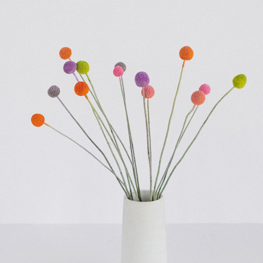 Assorted Colors Airbrushed Craspedia Billy Balls - Dried Flower Bouquet for Wedding Centerpieces, Home Decor, DIY Crafts & Floral Arrangements