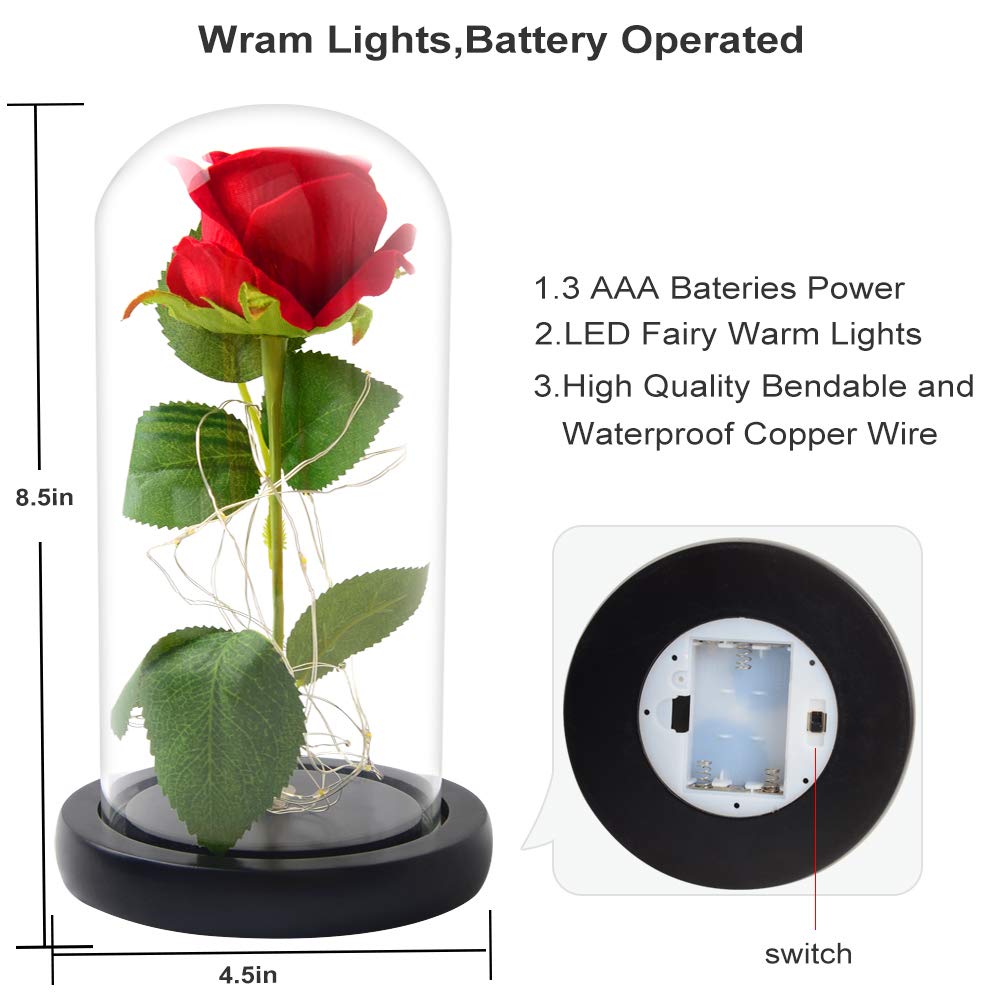 Kyoryuger Rose Red Glass Rose - Preserved Flower Gift for Valentine's Day, Birthday, Anniversary | Perfect Gift for Women, Wife, Girlfriend, Mother | Romantic Home Decor & Special Occasion Present