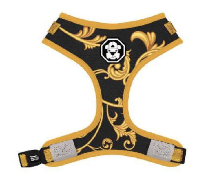 Best Safe & Comfortable Dog Harness for Puppies & Small Dogs - Easy Walk No-Pull Reflective Pet Harness with Leash - Stylish Dog Outfits for Walking, Running & Outdoor Adventures by Fresh Pawz