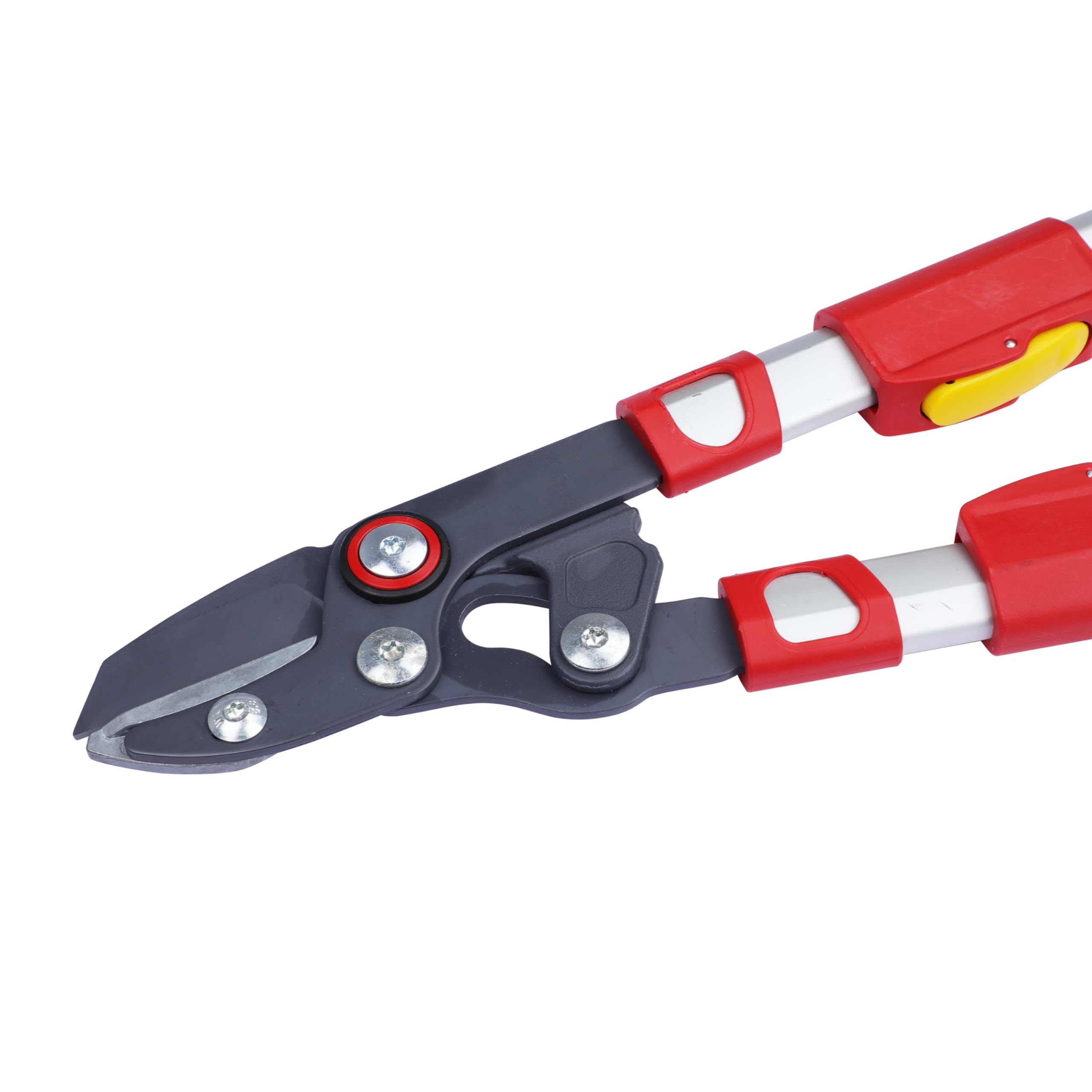 WOLF-Garten RS900T 35.5 Inch Telescopic Anvil Lopper - Heavy Duty Branch Cutter for Tree Trimming, Gardening & Landscaping