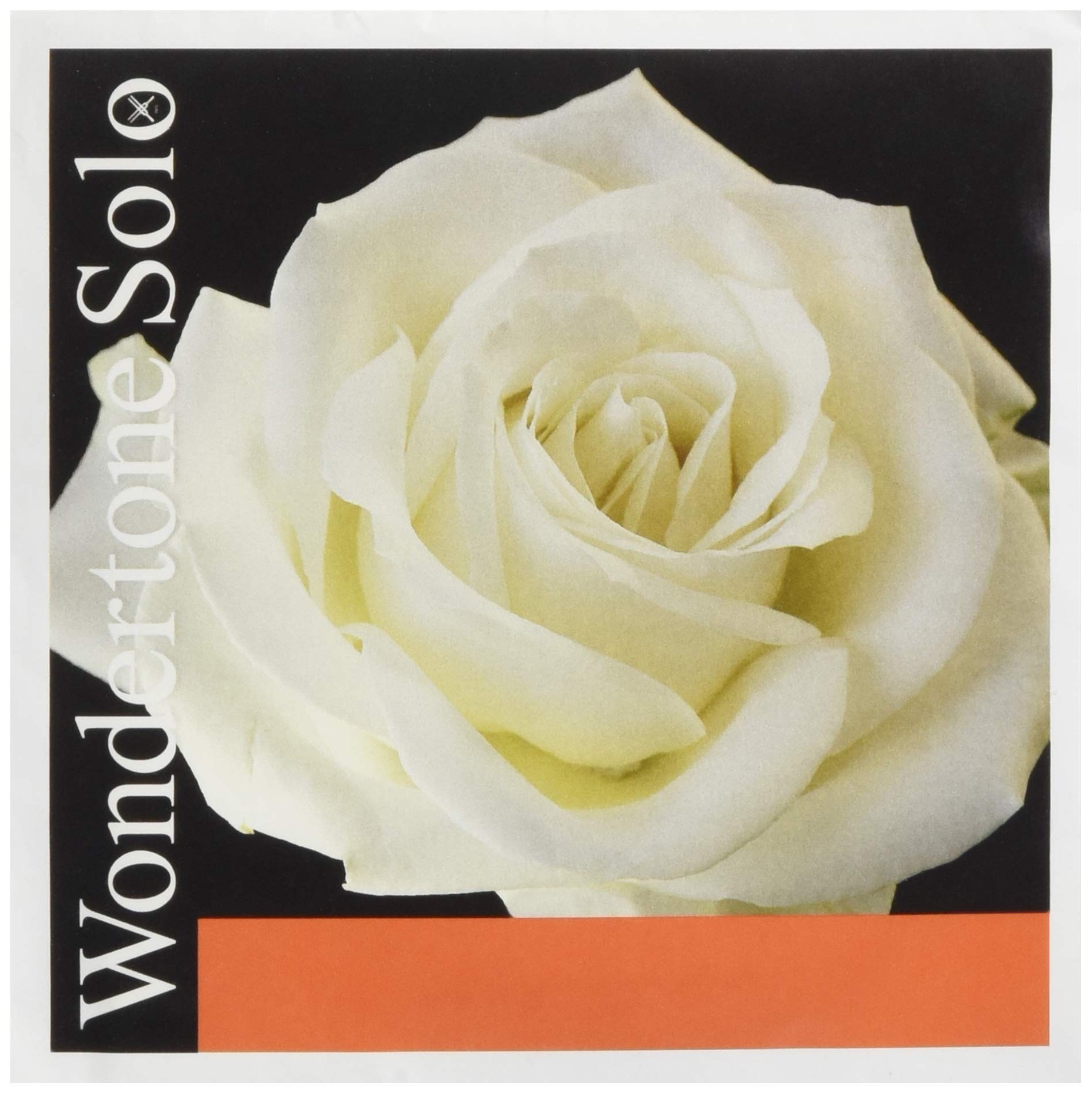 PIRASTRO Wondertone Solo 4104 4/4 Violin String G-Wire - Synthetic Core with Silver Winding for Professional Violinists | Perfect for Solo Performances & Orchestral Playing