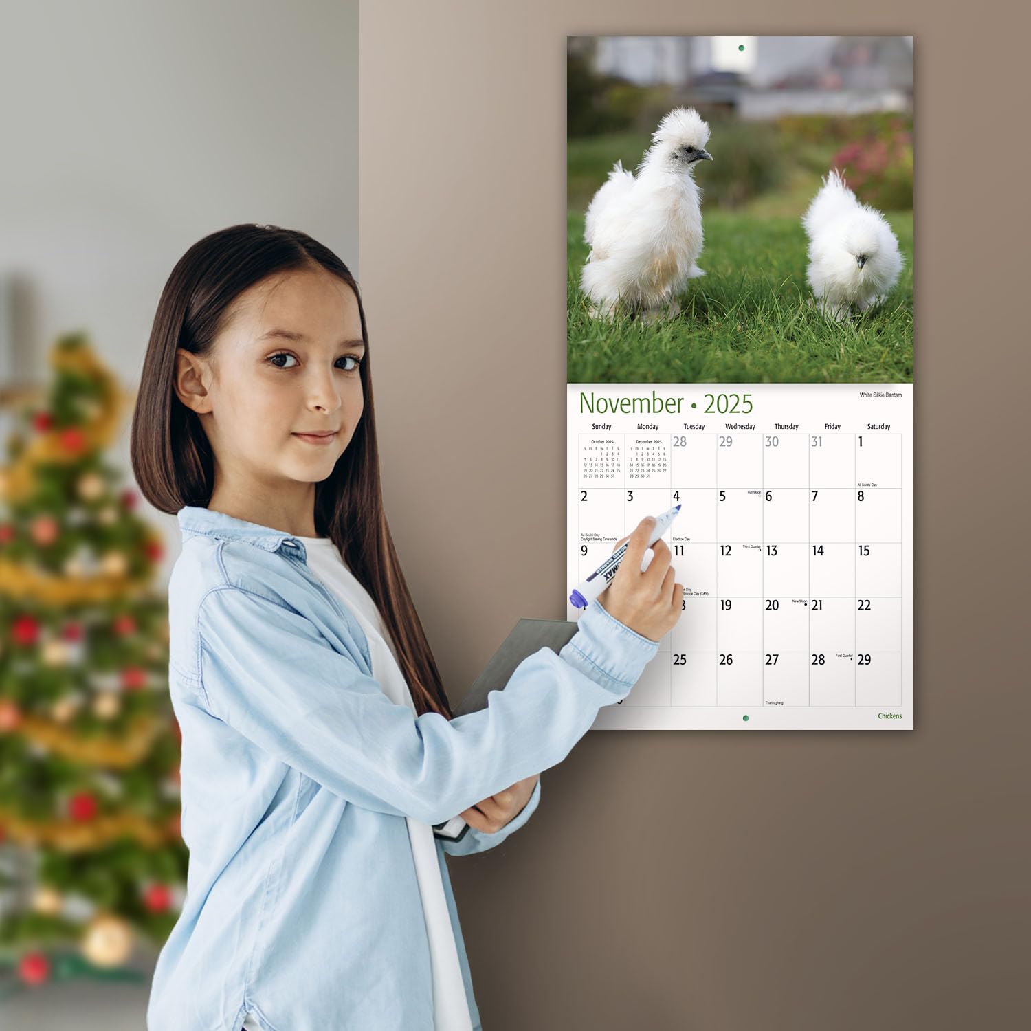 MICASA PRESS - 2025 Chickens Wall Calendar | 12