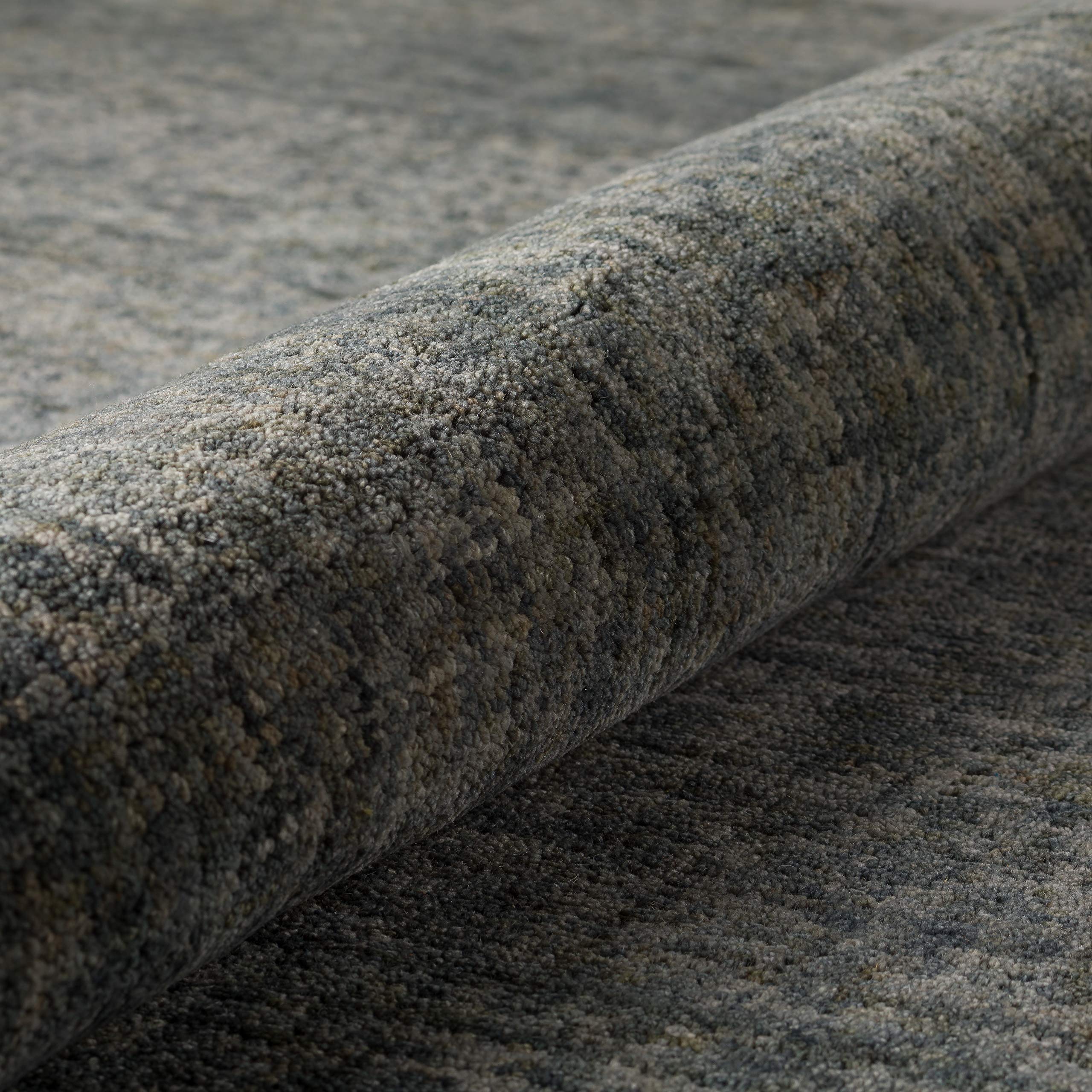 Dalyn Rugs Calisa CS5 Carbon 2' x 3' Rectangle Soft Area Rug - Easy Clean, Non-Shedding, Stain Resistant for Bedroom, Living Room, Dining Room & Kitchen | Perfect for High Traffic Areas & Pet-Friendly Homes