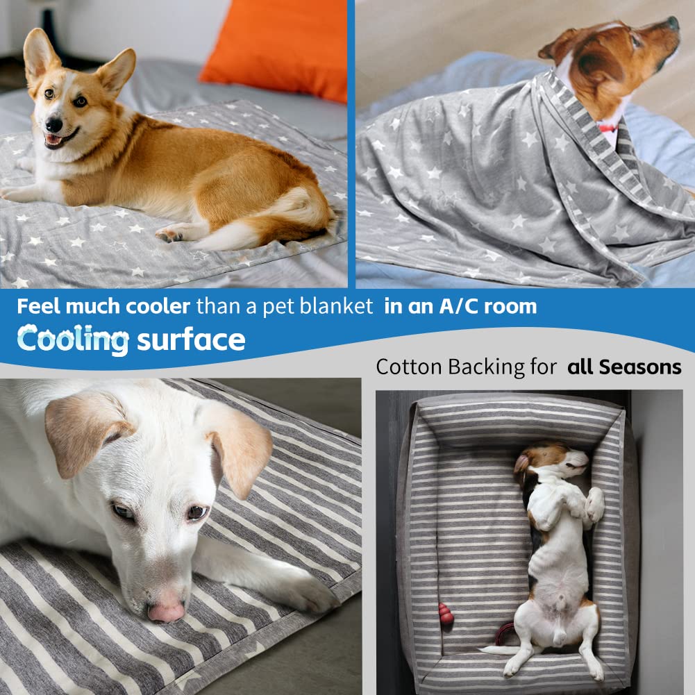 ARGOPET Dog Cooling Blanket 28x21 Inch - Lightweight Self-Cooling Pet Blanket for Summer, Ice Silk Cooling Cover for Dogs & Cats - Perfect for Kennels, Sofas & Hot Weather Relief