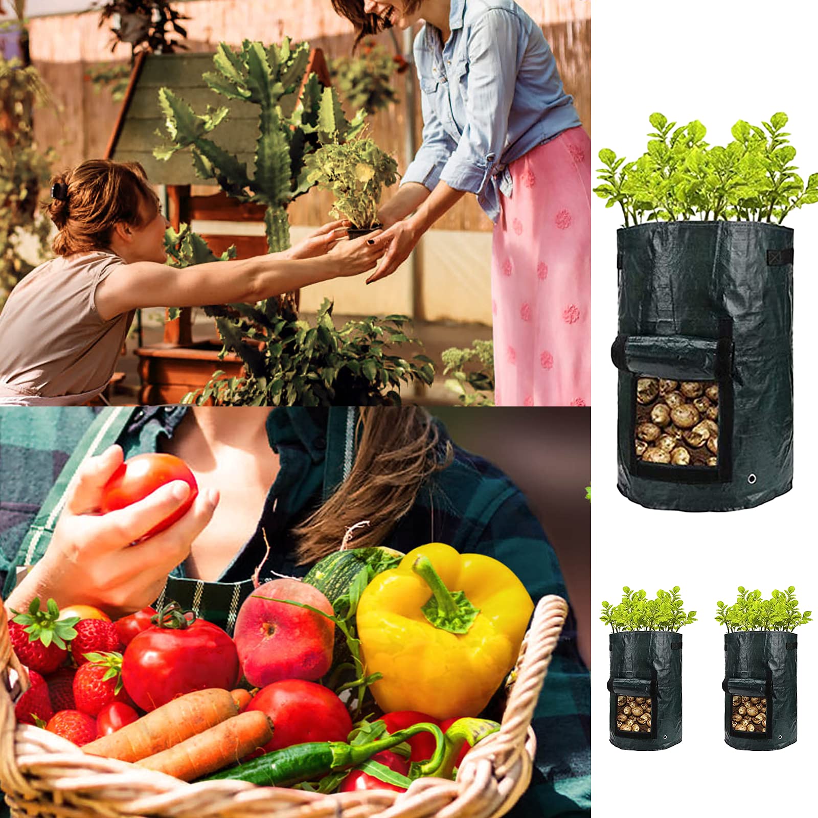 10 Gallon Grow Bags for Potatoes, Carrots & Onions - Portable Fabric Planter with Handles & Access Flap - Ideal for Home Gardening, Balcony Planting & Organic Vegetable Cultivation