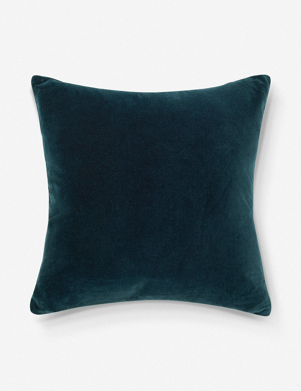 Charlotte Velvet Pillow - Soft Luxury Decorative Throw Pillow for Sofa, Bed & Couch - Perfect for Living Room, Bedroom & Home Decor