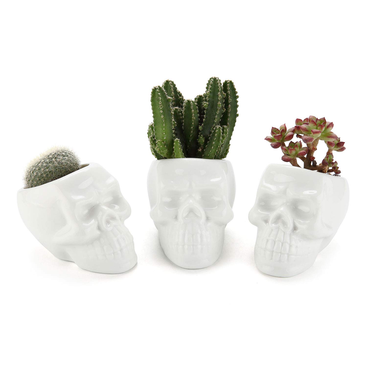 T4U Set of 3 Gothic Skull Succulent Planter Pots - White Ceramic Cactus Planters with Drainage Holes | Creative Plant Lover Gifts for Christmas, Birthday & Housewarming | Multi-Functional as Pen/Pencil Holder | Perfect for Home Office Decor, Gothic Decor & Halloween Party Centerpieces