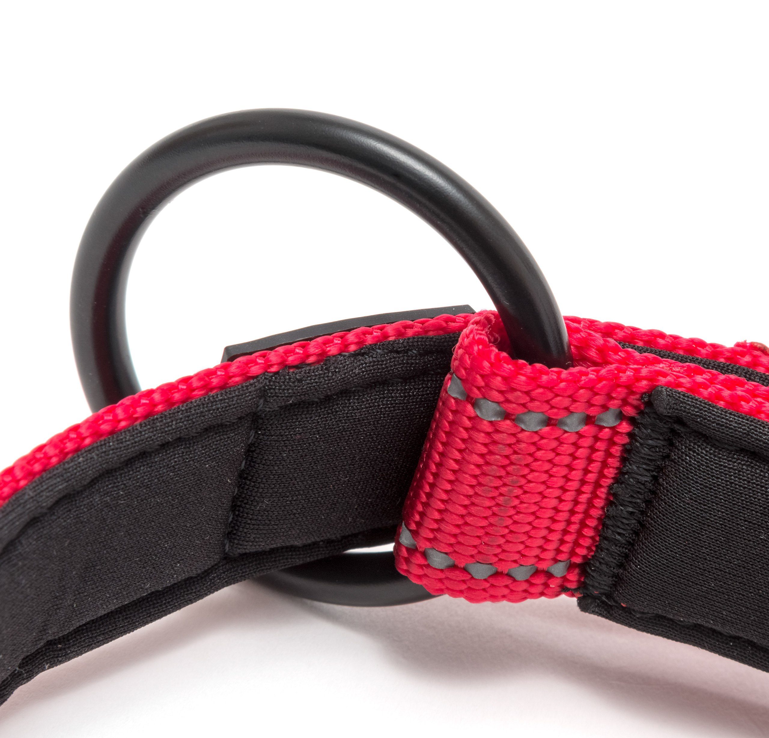 Happilax Adjustable Reflective Padded Dog Collar with Buckle - Comfortable Strain Relief for Small Dogs (12-14 inch Neck Size, Red) - Perfect for Night Walks, Training & Outdoor Adventures
