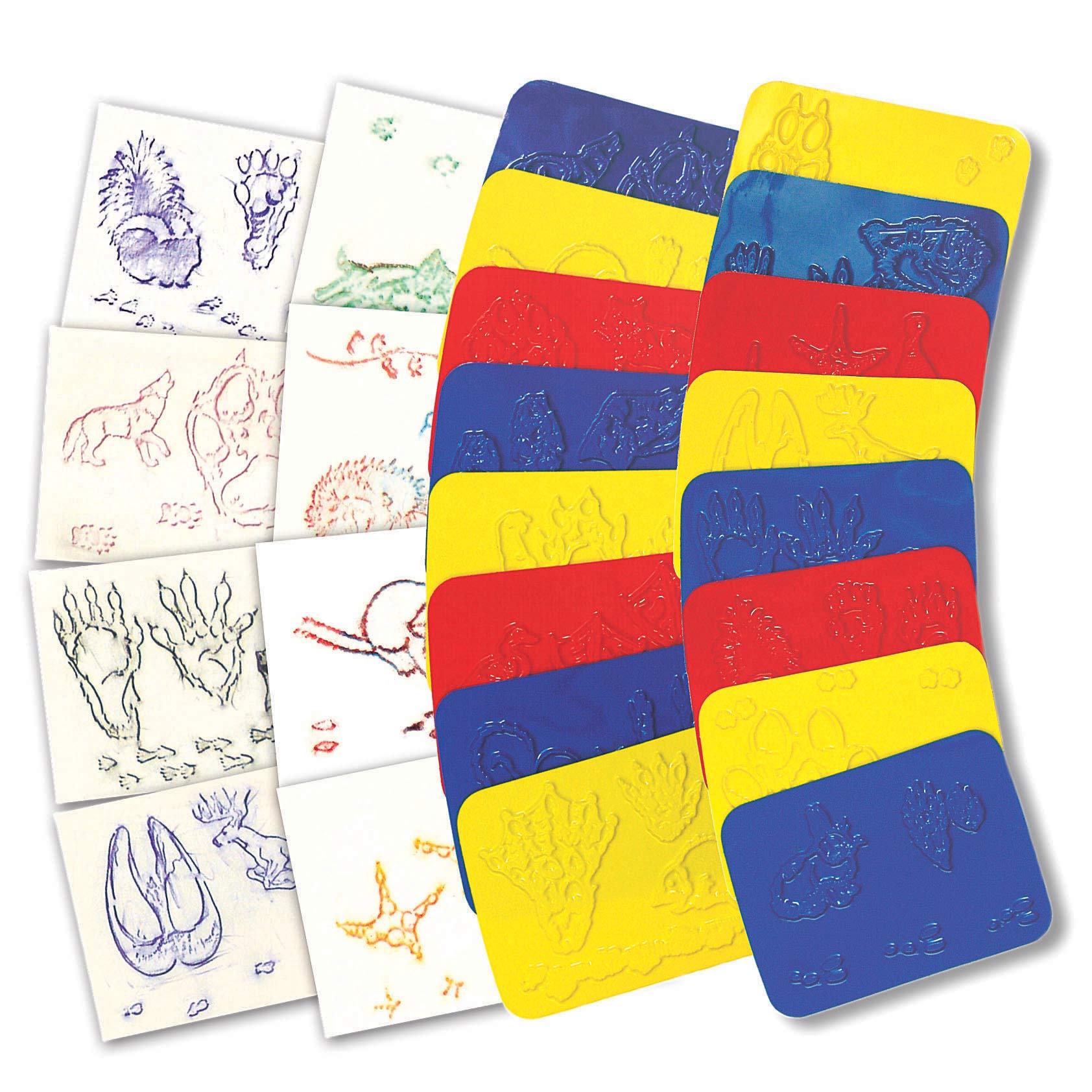 16-Piece Animal Track Rubbing Plates Set for Kids - Nature Exploration & Outdoor Learning Activities - Perfect for Camping, Hiking & Wildlife Education