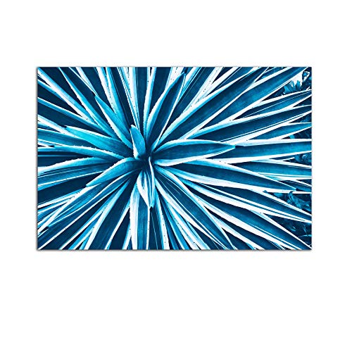 Blue White Flower