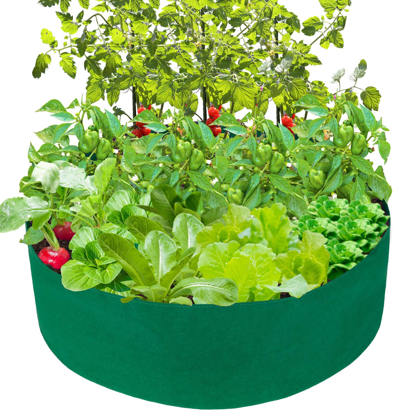 50 Gallon Fabric Garden Bed - Breathable Planting Grow Bags for Vegetables, Flowers & Plants | Durable Raised Garden Container for Outdoor, Indoor & Patio Gardening