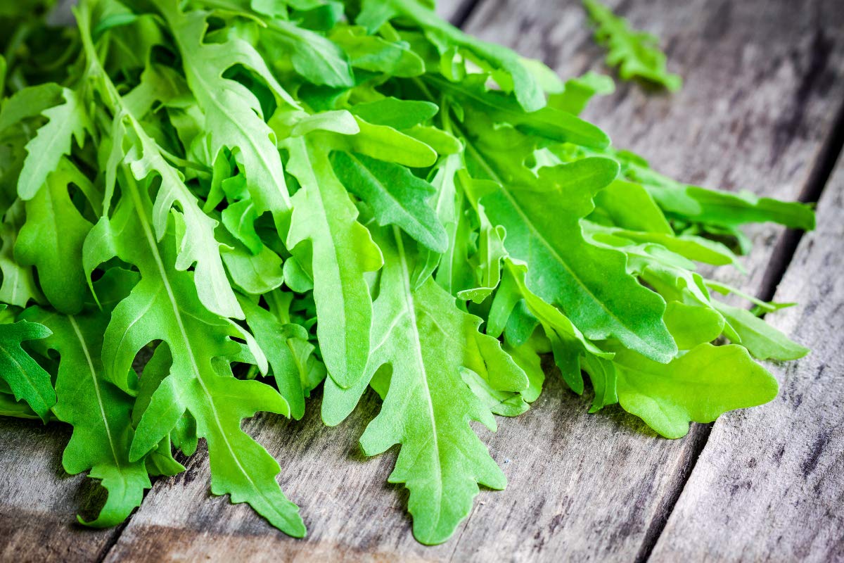 Organic Arugula Seeds - Non-GMO, Fast-Growing (20 Days) - Duckweed & Broadleaf Salad Greens for Planting - Perfect for Home Gardens, Microgreens & Healthy Salads