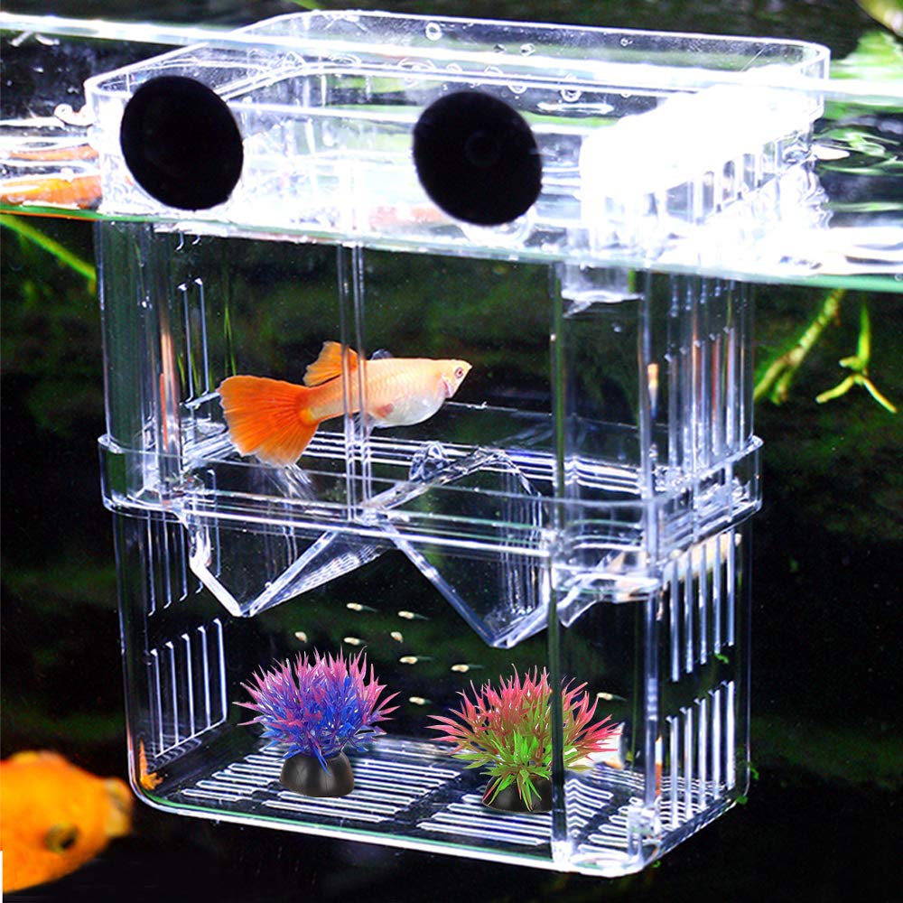 NETUEM Acrylic Double Layer Fish Breeding Box - Floating Isolation Hatchery for Guppy, Tropical Fish & Fry | L Size with Suction Cups | Ideal for Aquarium Fish Breeding, Fry Protection & Tank Division