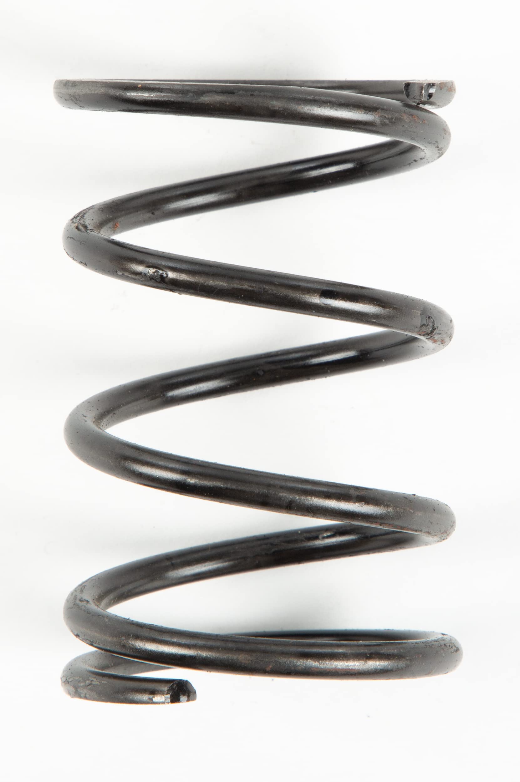 Spring Bulk - Wholesale Supplies for Retail & Events