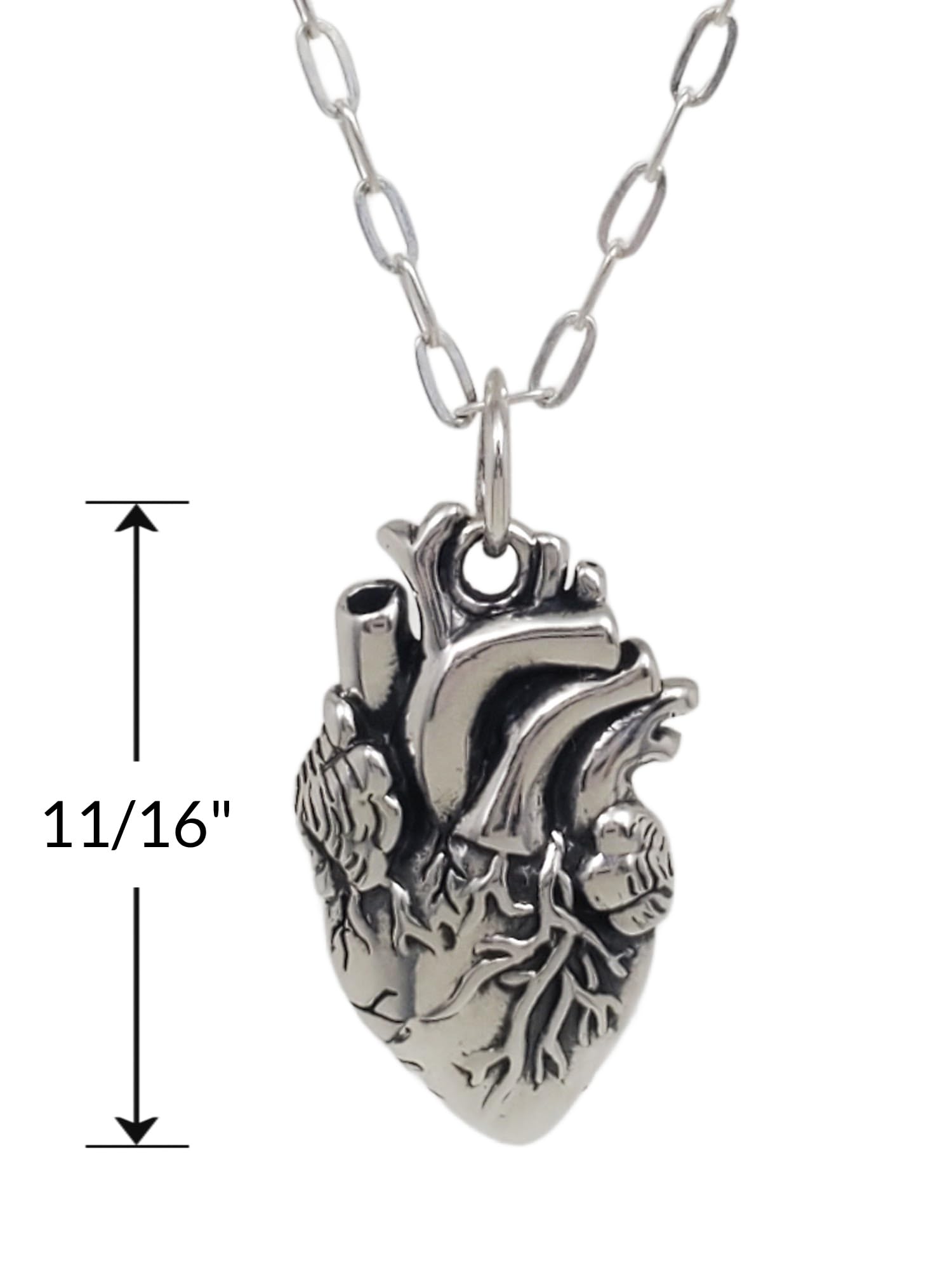 Sterling Silver Anatomical Human Heart Pendant Necklace - 18