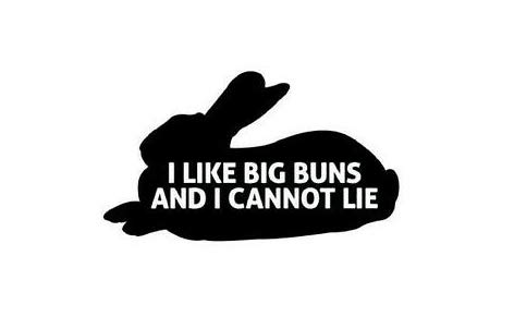 Funny 'I Like Big Buns' Bunny Vinyl Sticker Decal - 5.5 x 3.2 Inch Black Car Laptop Wall Decor - Perfect for Cars, Trucks, Vans, Walls & Laptops - DUC1158