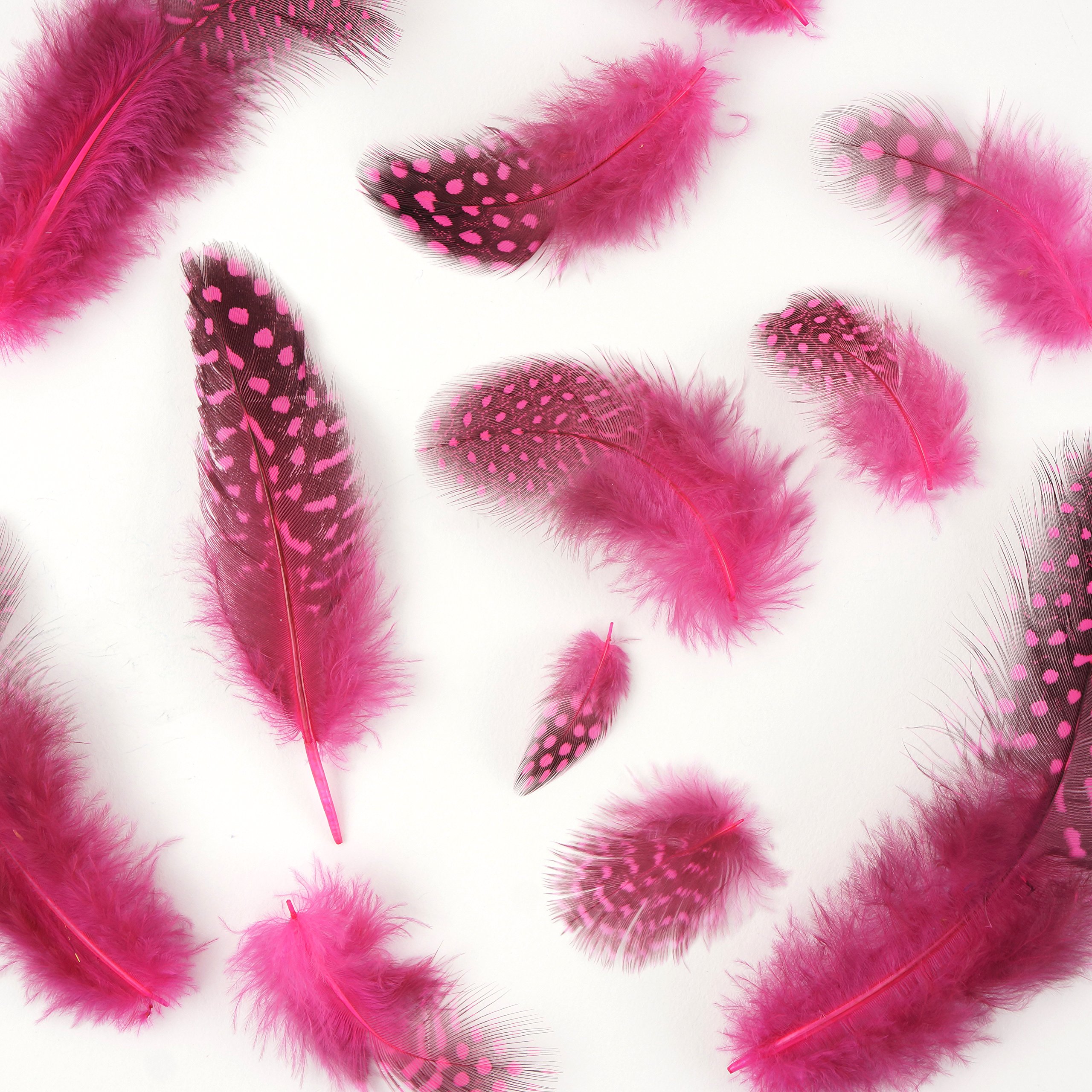 ZUCKER™ Guinea Plumage - Pink Oriental Feathers for DIY Crafts, Home Decor, and Costume Accessories