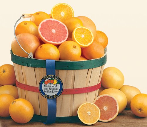 Fresh Indian River Florida Navel Oranges - 20lb Citrus Basket | Premium Sweet & Juicy Florida Oranges for Juicing, Snacking & Gift Giving